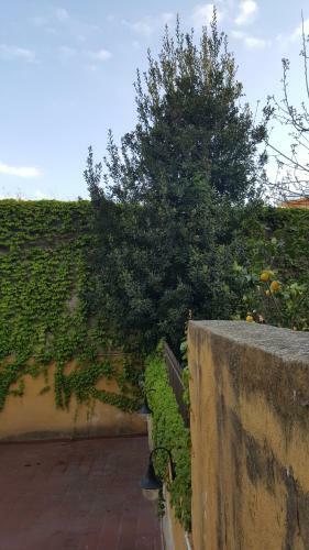 Apartamento Il Giardino Sul Corso