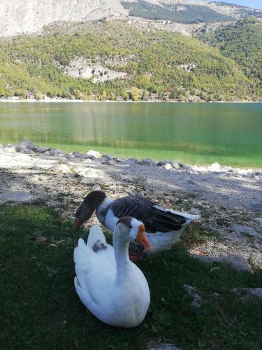 Apartamento Scanno