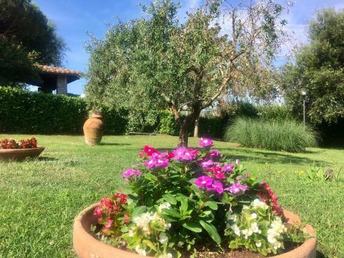 Apartamento Agriturismo Terranera