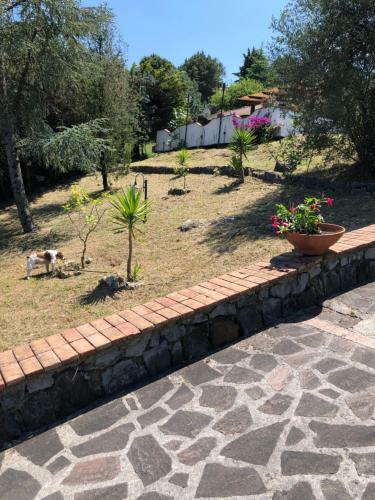Villa My Paradise