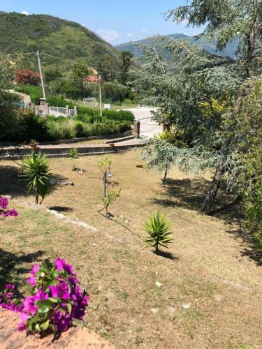Villa My Paradise