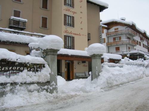 Hotel Albergo Pineta