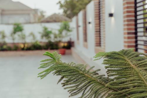 Hostal Sinclair Lake Chad