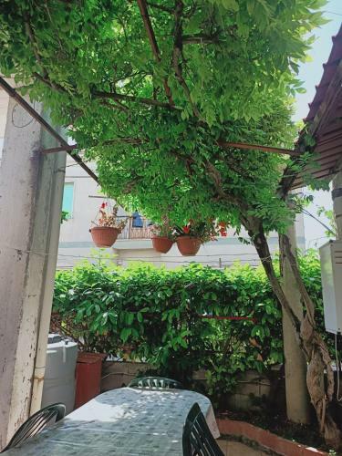 Casa Giardino