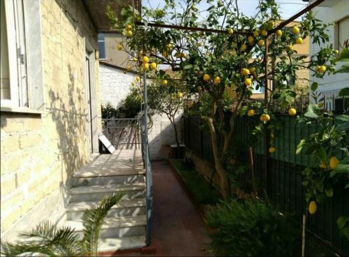 Casa Delle Bambole