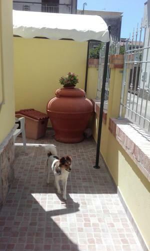 Bed & Breakfast A Casa Di Antonella
