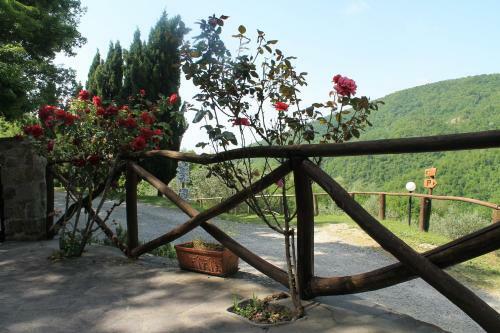 Apartamento Locanda Le Isole