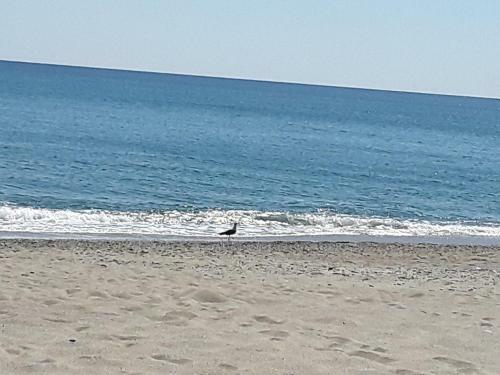 Apartamento L'arte Al Mare