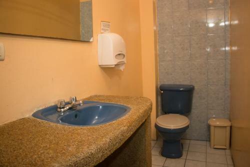 Dreamkapture Hostel