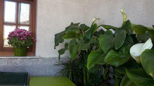 Hotel Condes De Bu�ol
