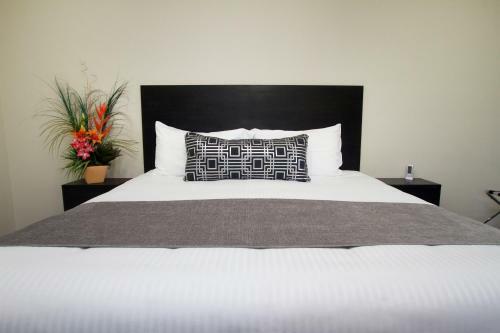 Twofold Bay Motor Inn