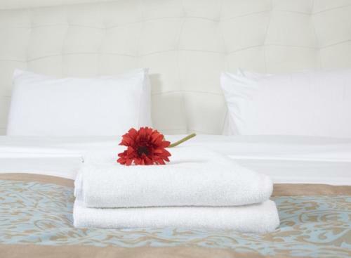 Bed & Breakfast Buddha House & Spiaggia