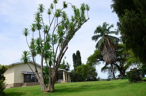 Hostal Maison St Benoit Kigufi