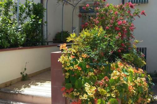Apartamento Appartamento Con Terrazza, Vista Panoramica Sul Mare