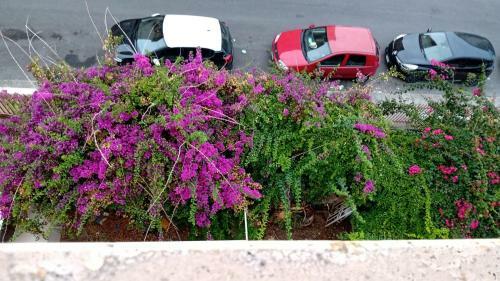 Apartamento Il Mulino