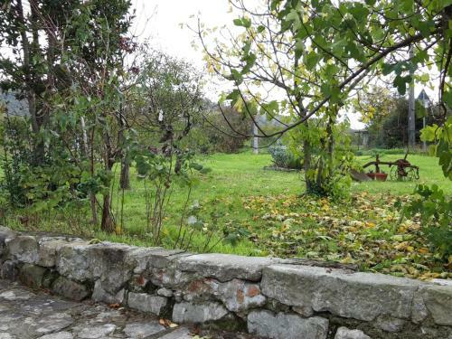 Apartamento Il Merlo Coderlo