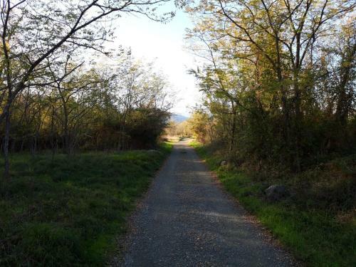 Apartamento Il Merlo Coderlo