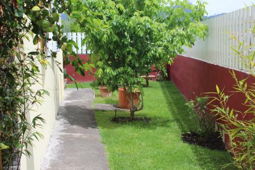 Casamelias "la Glycine"