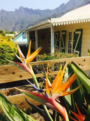 Bed & Breakfast Case Nyala