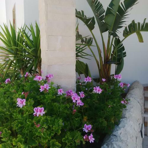 Fenicia Relais