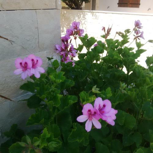 Fenicia Relais