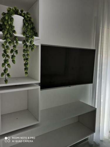 Hostal Aurorooms Affittacamere