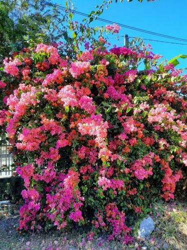 Bed & Breakfast G�te Les Cimes Caloupilon