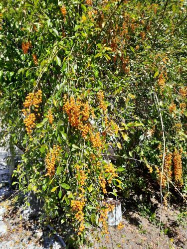Bed & Breakfast G�te Les Cimes Caloupilon