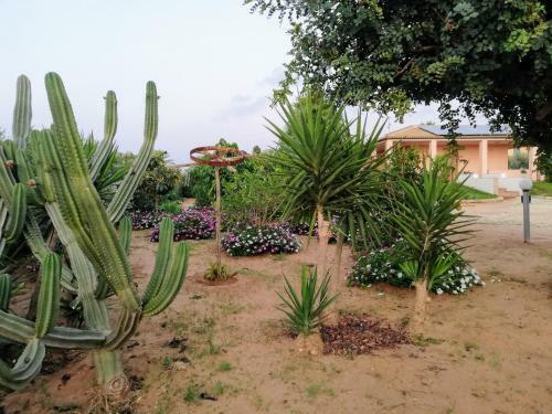 Villa Con Bella Vista Mare
