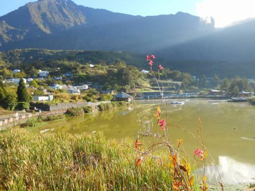 Apartamento Meubl� De Tourisme Les Saules