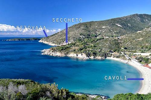 Casa Blu