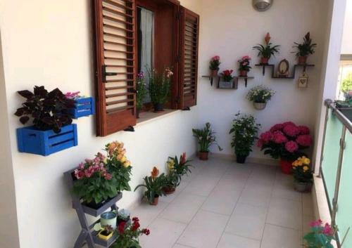 Apartamento Appartamento Bea