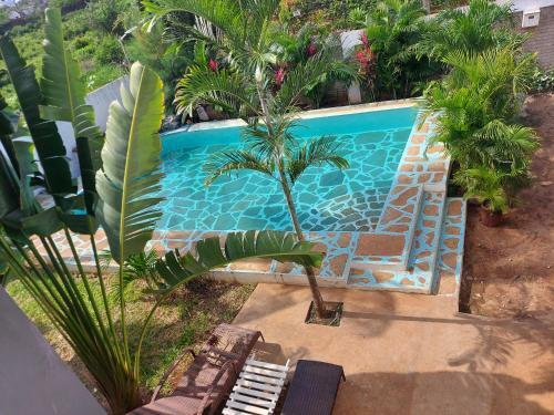 Villa Butterfly House