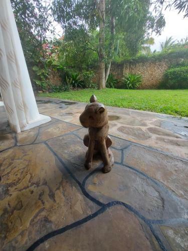 Villa Leopard House