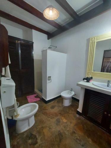 Villa Leopard House