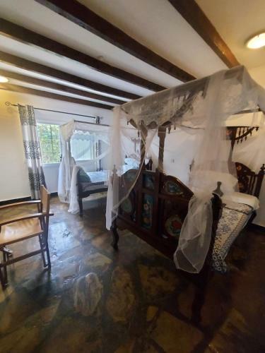 Villa Leopard House