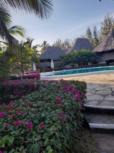 Apartamento Beach Cottages