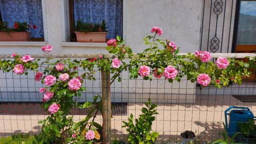 Apartamento Da Valdes