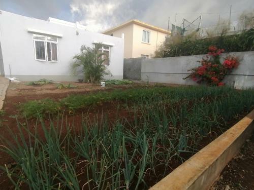 Khushi's Guest House - Cascavelle