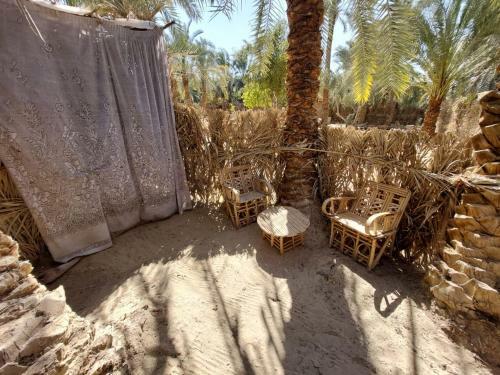Forest Camp Siwa - ???? ??????
