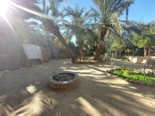 Forest Camp Siwa - ???? ??????