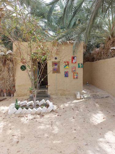 Forest Camp Siwa - ???? ??????