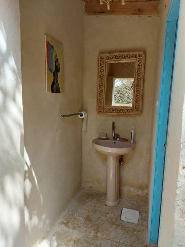 Forest Camp Siwa - ???? ??????