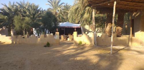 Bed & Breakfast Tazol House