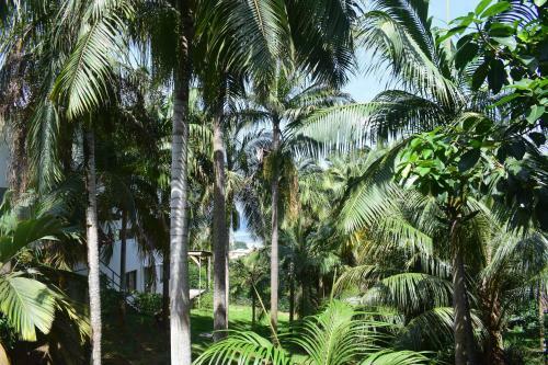 Hostal Rock Villa Chalet