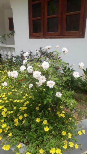 Hostal Ogumka, Self Catering , Beoliere, Mahe