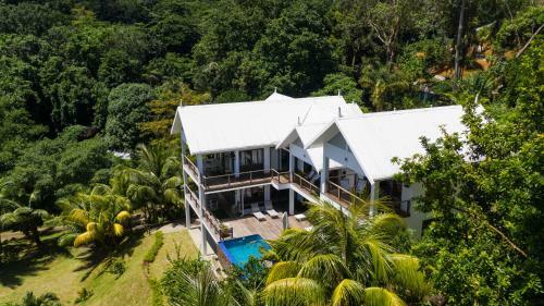 Villa Coconut Climb