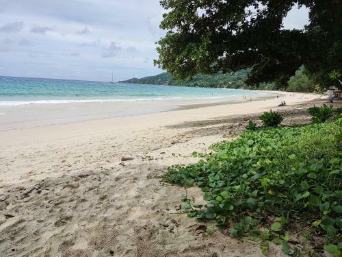 Apartamento Riverside Mount Simpson - Seychelles Island