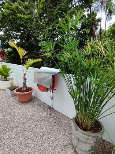 Apartamento Riverside Mount Simpson - Seychelles Island
