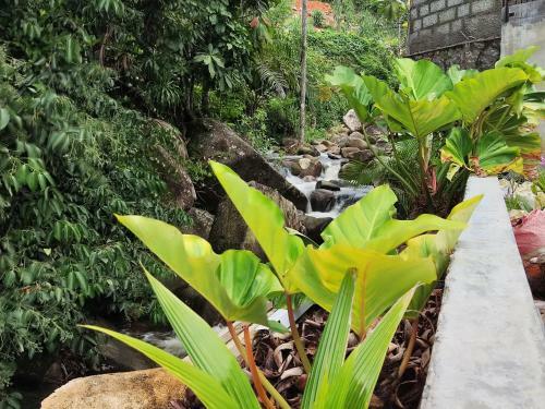 Apartamento Riverside Mount Simpson Upper